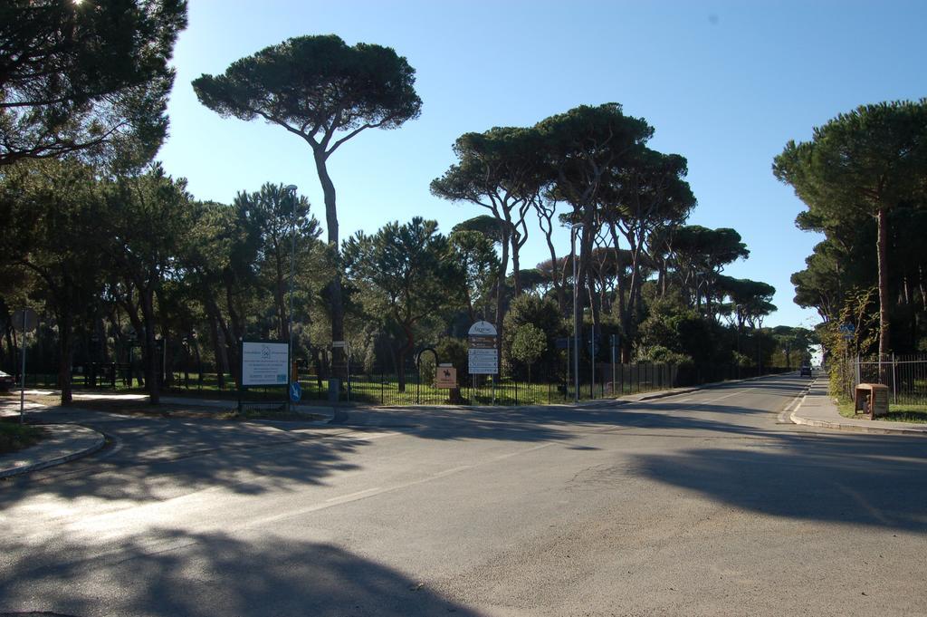 Le Coin Vert Fregenae Ruang foto